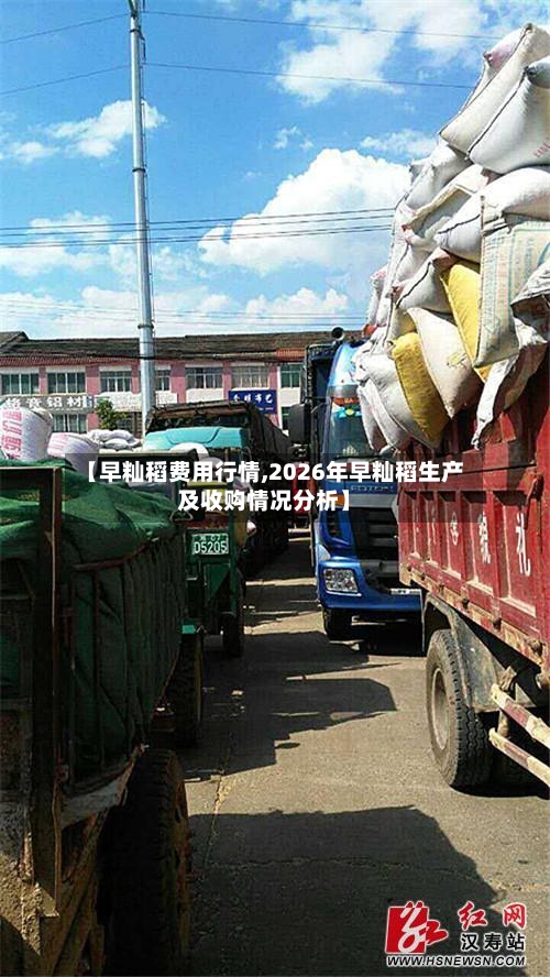 【早籼稻费用行情,2026年早籼稻生产及收购情况分析】