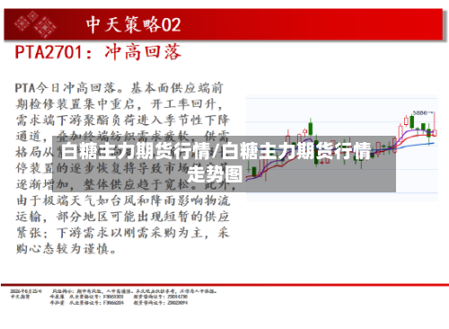白糖主力期货行情/白糖主力期货行情走势图
