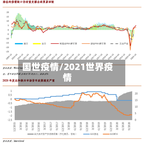国世疫情/2021世界疫情