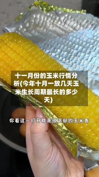 十一月份的玉米行情分析(今年十月一放几天玉米生长周期最长的多少天)