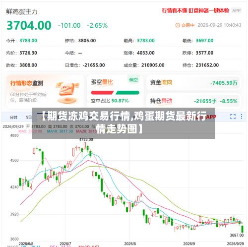 【期货冻鸡交易行情,鸡蛋期货最新行情走势图】-第2张图片