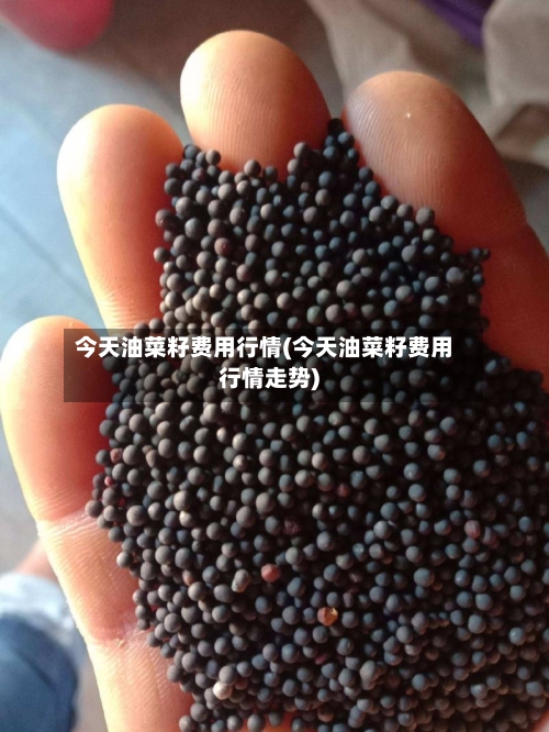 今天油菜籽费用行情(今天油菜籽费用行情走势)-第3张图片