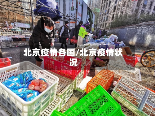 北京疫情各国/北京疫情状况-第2张图片