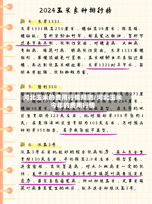 河北玉米的费用行情预测/河北玉米今年的费用行情-第2张图片
