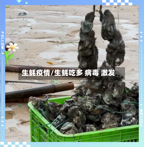 生蚝疫情/生蚝吃多 病毒 激发-第3张图片