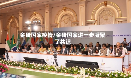 金砖国家疫情/金砖国家进一步凝聚了共识
