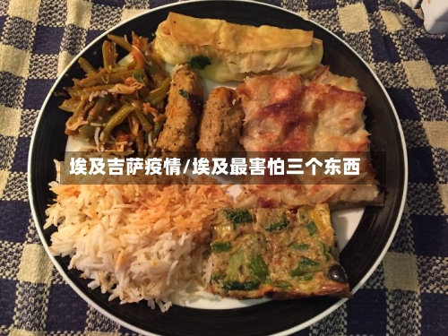 埃及吉萨疫情/埃及最害怕三个东西