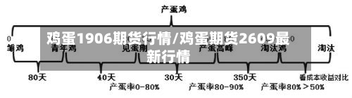 鸡蛋1906期货行情/鸡蛋期货2609最新行情