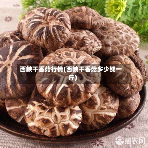 西峡干香菇行情(西峡干香菇多少钱一斤)-第2张图片