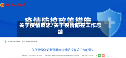 关于疫情反思/关于疫情防控工作总结