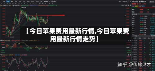 【今日苹果费用最新行情,今日苹果费用最新行情走势】