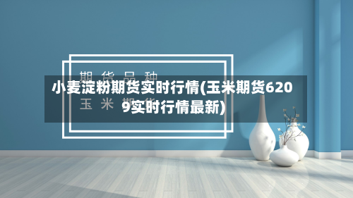 小麦淀粉期货实时行情(玉米期货6209实时行情最新)-第2张图片