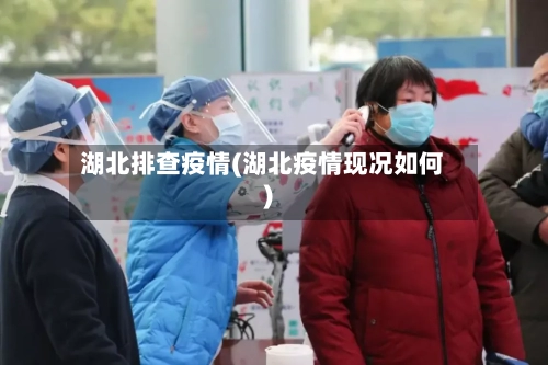 湖北排查疫情(湖北疫情现况如何)-第2张图片
