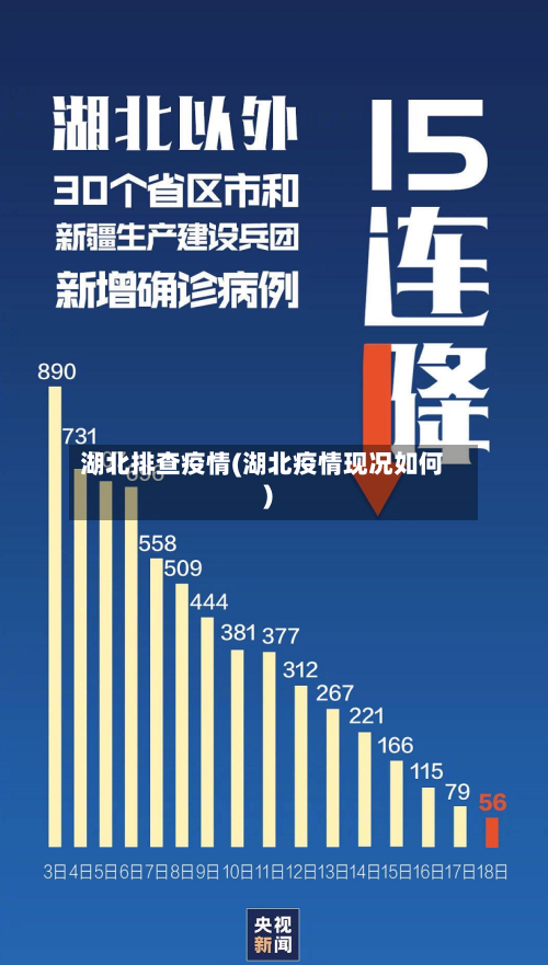 湖北排查疫情(湖北疫情现况如何)-第3张图片