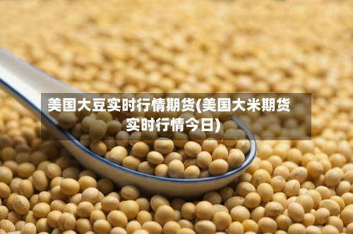 美国大豆实时行情期货(美国大米期货实时行情今日)