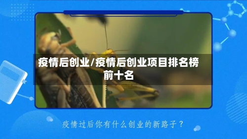 疫情后创业/疫情后创业项目排名榜前十名