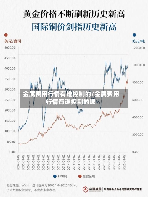 金属费用行情有谁控制的/金属费用行情有谁控制的呢