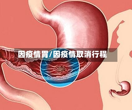 因疫情胃/因疫情取消行程-第3张图片