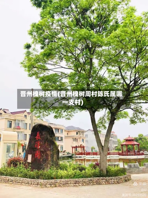 晋州槐树疫情(晋州槐树周村陈氏属哪一支村)-第2张图片