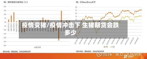 疫情变猪/疫情冲击下 生猪期货会跌多少