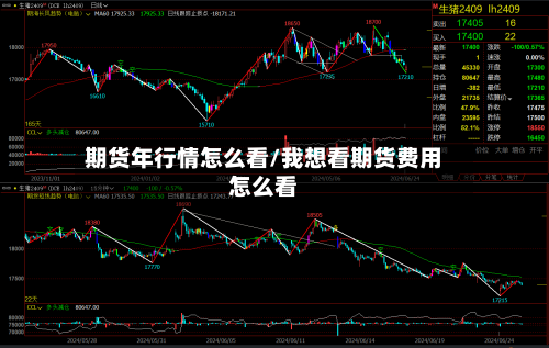 期货年行情怎么看/我想看期货费用怎么看