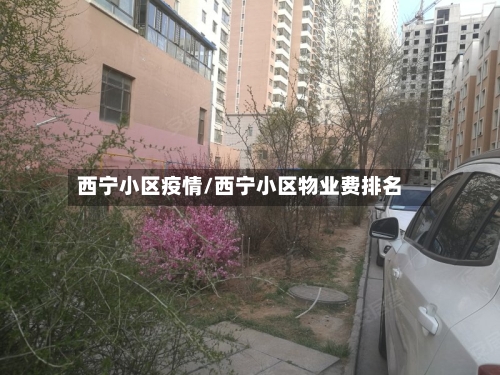 西宁小区疫情/西宁小区物业费排名-第2张图片