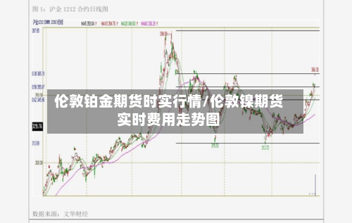 伦敦铂金期货时实行情/伦敦镍期货实时费用走势图
