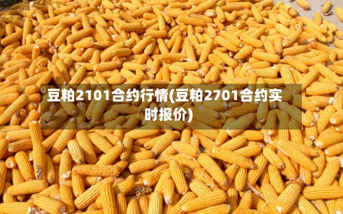 豆粕2101合约行情(豆粕2701合约实时报价)-第3张图片