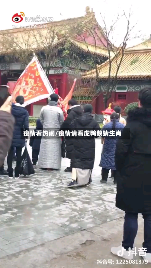 疫情看热闹/疫情请看虎鸭鹅猜生肖