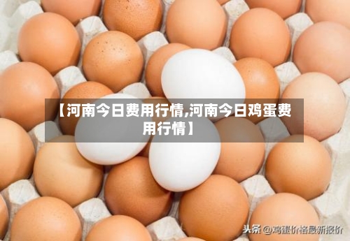 【河南今日费用行情,河南今日鸡蛋费用行情】