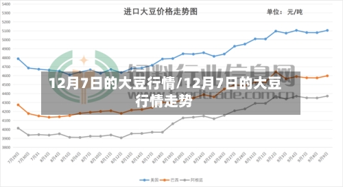 12月7日的大豆行情/12月7日的大豆行情走势-第2张图片