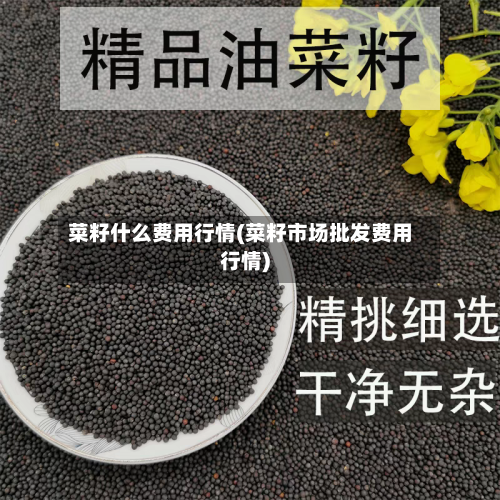 菜籽什么费用行情(菜籽市场批发费用行情)