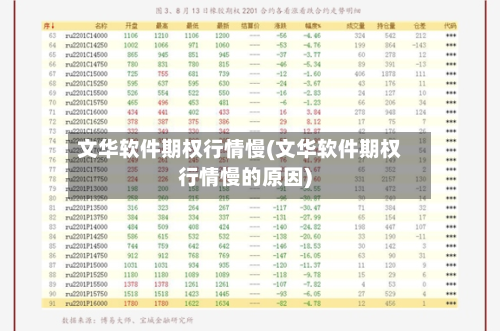 文华软件期权行情慢(文华软件期权行情慢的原因)