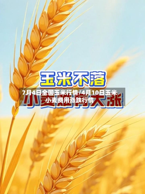 7月4日全国玉米行情/4月10日玉米小麦费用涨跌行情-第2张图片