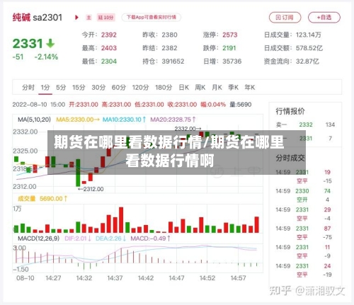 期货在哪里看数据行情/期货在哪里看数据行情啊