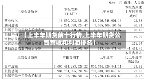 【上半年期货前十行情,上半年期货公司营收和利润排名】