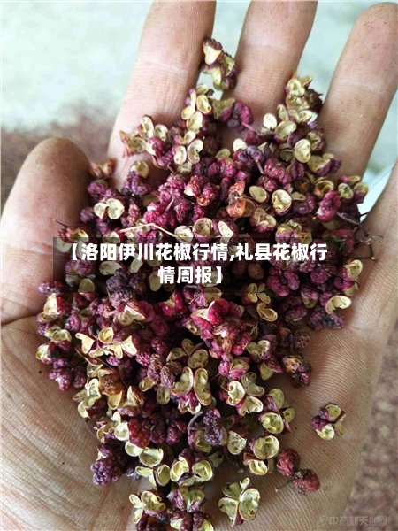 【洛阳伊川花椒行情,礼县花椒行情周报】