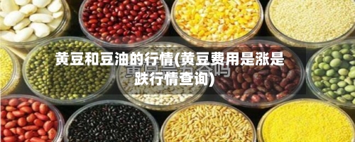 黄豆和豆油的行情(黄豆费用是涨是跌行情查询)