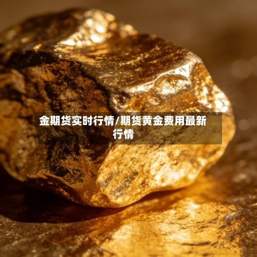金期货实时行情/期货黄金费用最新行情-第2张图片
