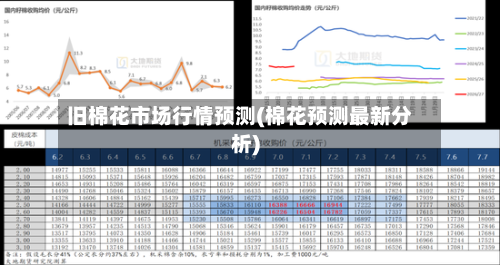 旧棉花市场行情预测(棉花预测最新分析)-第2张图片