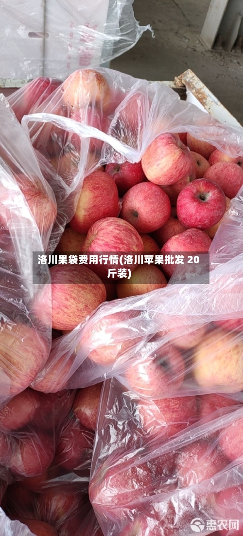 洛川果袋费用行情(洛川苹果批发 20斤装)-第2张图片