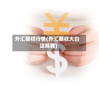 外汇期权行情(外汇期权大白话解释)