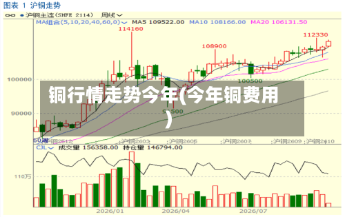 铜行情走势今年(今年铜费用)
