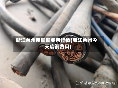 浙江台州废铜铜费用行情(浙江台州今天废铜费用)