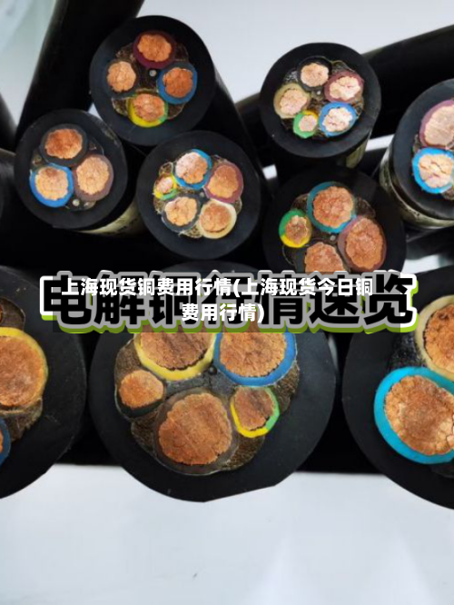 上海现货铜费用行情(上海现货今日铜费用行情)