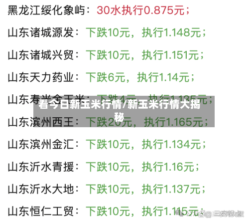 看今日新玉米行情/新玉米行情大揭秘-第3张图片