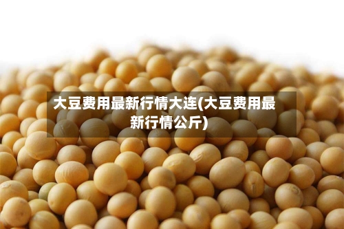 大豆费用最新行情大连(大豆费用最新行情公斤)