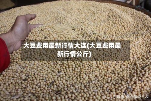 大豆费用最新行情大连(大豆费用最新行情公斤)-第3张图片