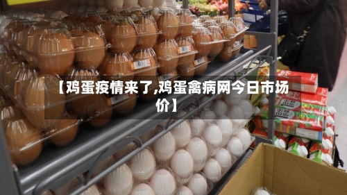 【鸡蛋疫情来了,鸡蛋禽病网今日市场价】-第3张图片