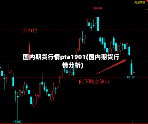 国内期货行情pta1901(国内期货行情分析)